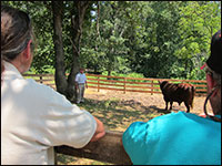 Click to enlarge photo