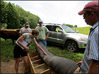 Click to enlarge photo