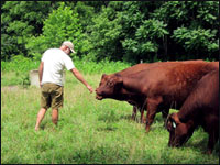 CLick to enlarge photo