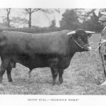 1004432_275767209236446_625150878_n