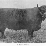 1014272_275767555903078_1222464565_n