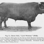 1016508_275767369236430_643376268_n