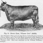 943474_275763809236786_1939972920_n