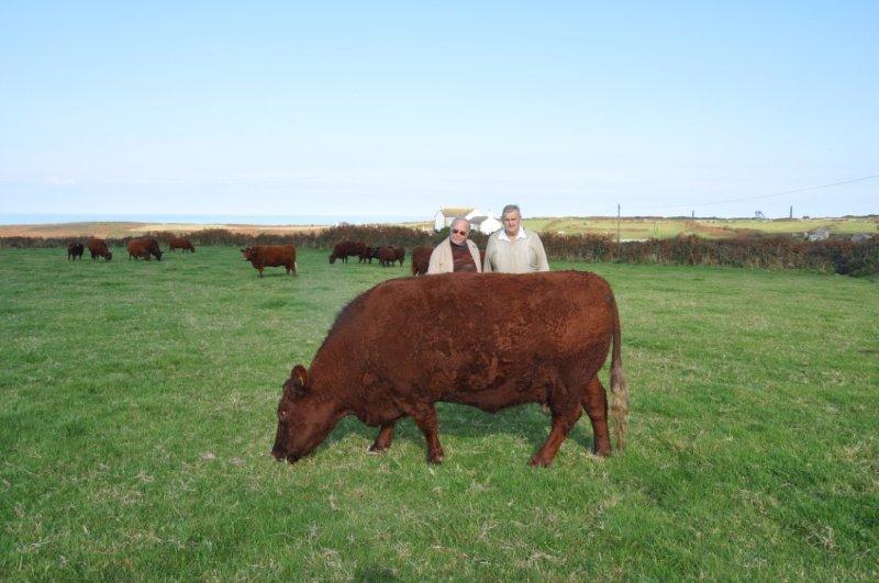 David and Ivan deciding on Goldings Norah 21st.