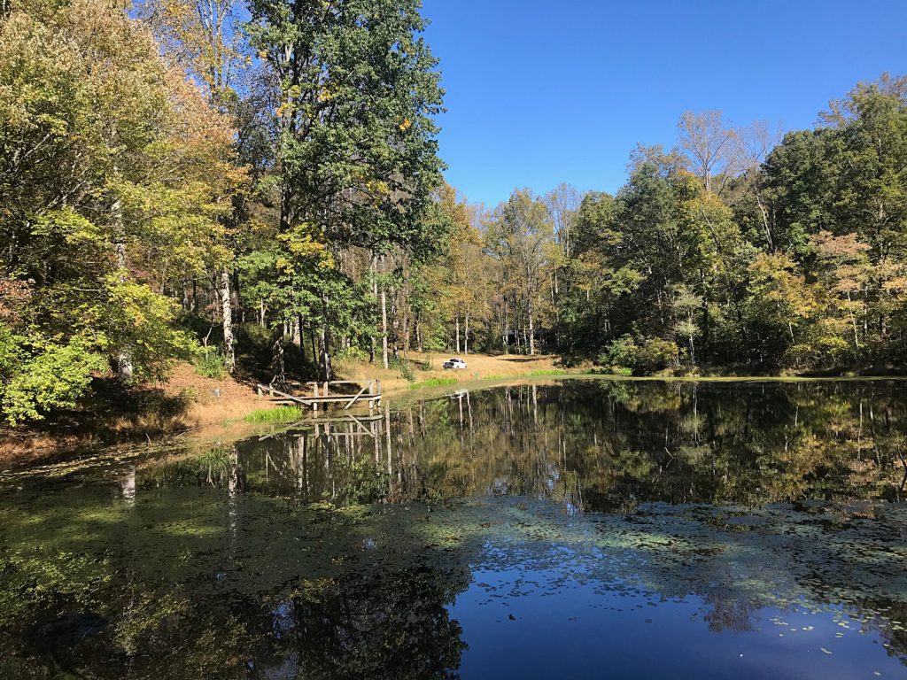 Thistlehill Farm Pond