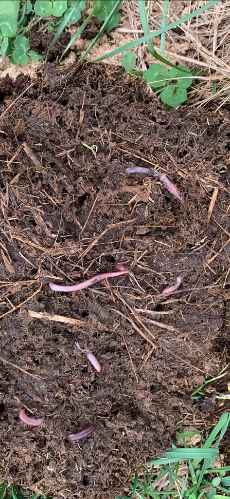 Thistlehill Farm Dirt