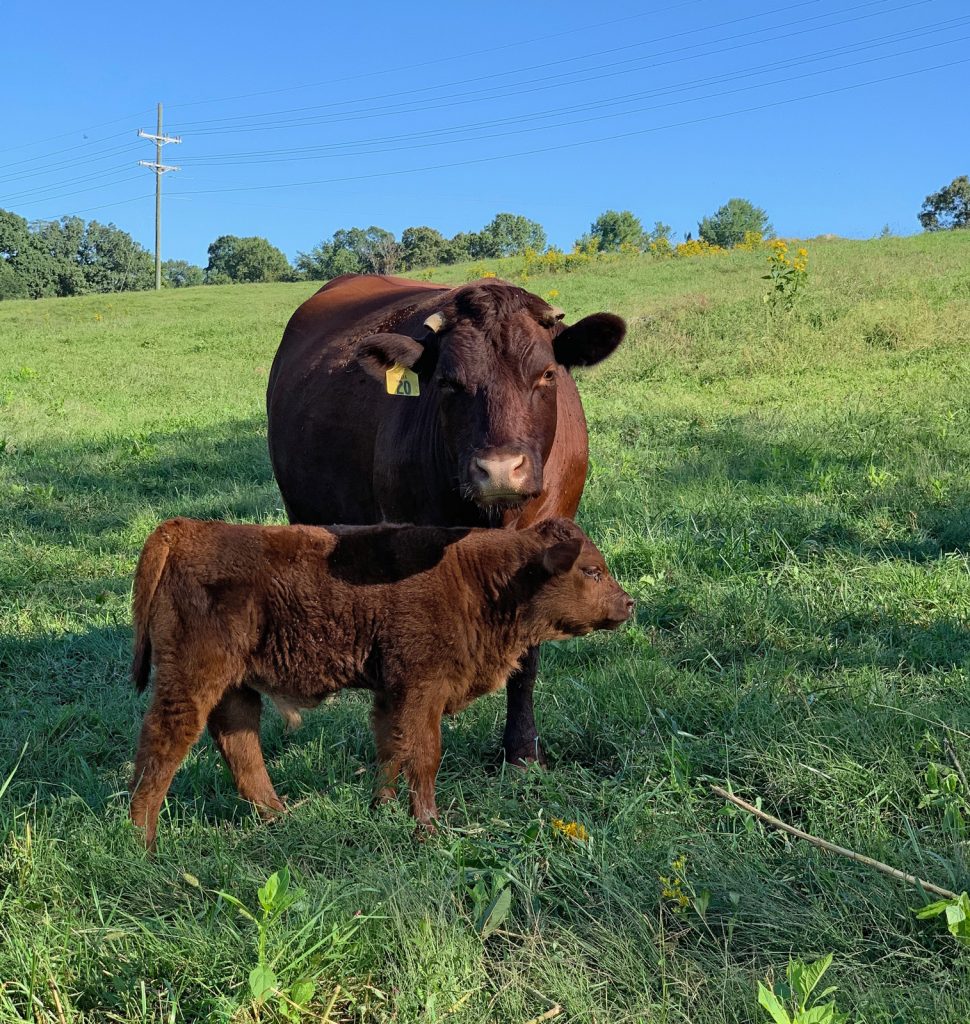 Mother and Son