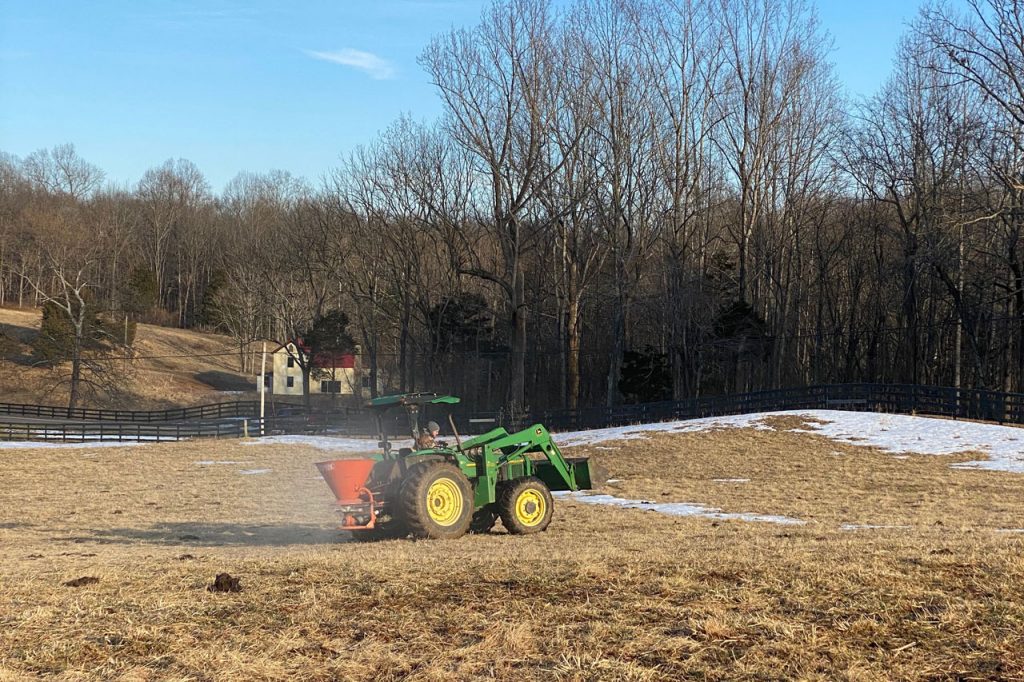 Thistle Hill Farm Clover